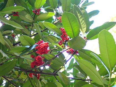 ��_����Υ���_����Υ�°_����襦