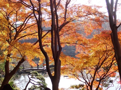 ��_�ѻ�������PC177384B