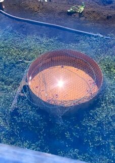 ���ĥ�ä�����������