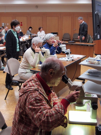 ������゙������顼�ݺ��ݤ�˦�Ҥ�ߤơ��֤�~����