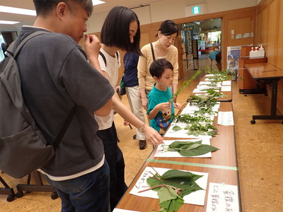 �������������ʿ�ʪ��ѻ�