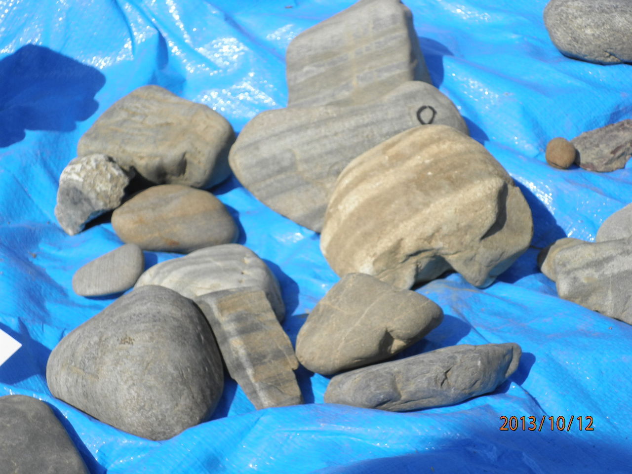 河原の石から神奈川の地質と成り立ちを探る 多摩川編実施報告 地球博物館友の会ブログ