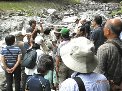 ���ܳطݰ���������