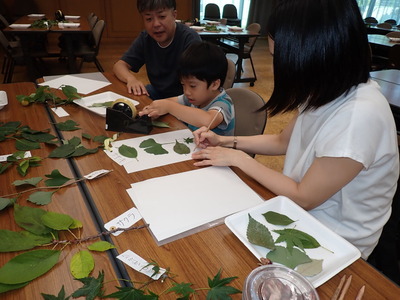 �����դä�゚�޴պ��