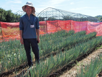 �֤������֤�����゙��������¼��Ĺ����