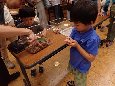 �Υ���゙�ꥯ�參゙���İ�����