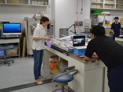 3_���˷��蘆�줿������ʬ�ۺ�Ȥ�Ҳ�ʹ��Υ������󥿡���