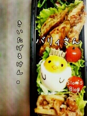 bary19_sion