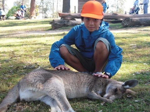 ausDSCN3357
