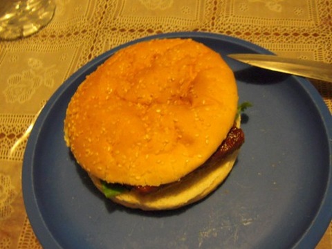 aus20DSCN3375