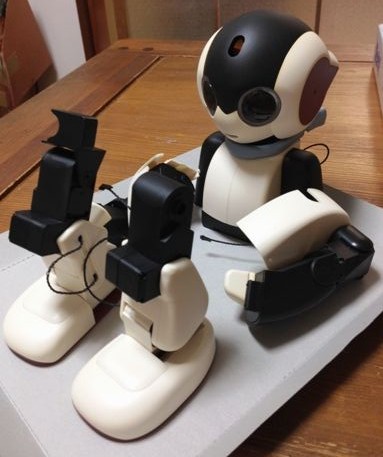 robi421
