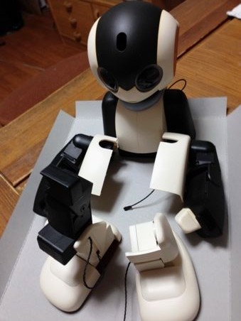 robi403