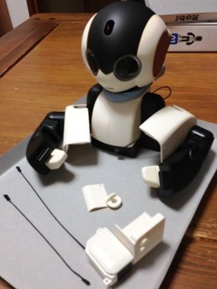 robi25__ 13