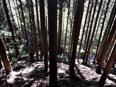 IMG_7505