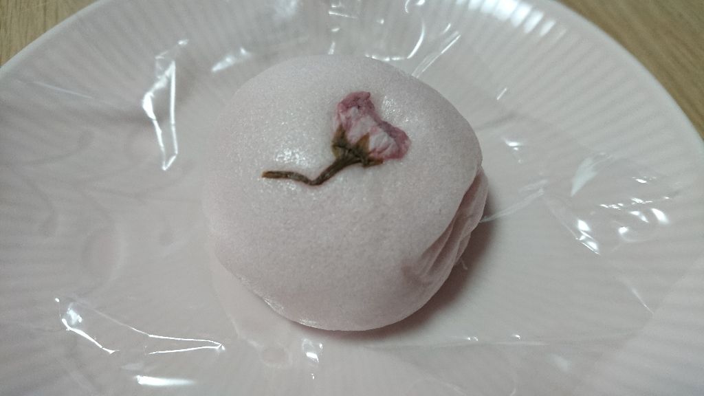 石舟庵 川奈店 献上伊豆桜饅頭 かえる通信 山口 静岡食べ歩き日誌