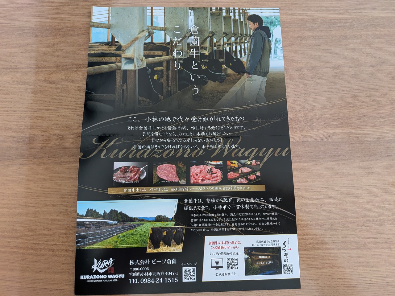 PXL_20251013_021938014