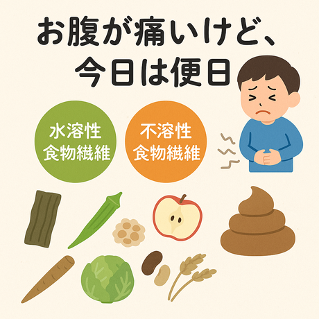 便秘解消の食物繊維