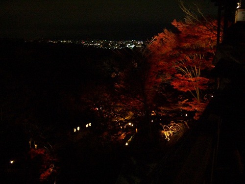 CIMG0076