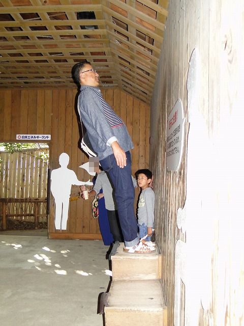 DSC00314