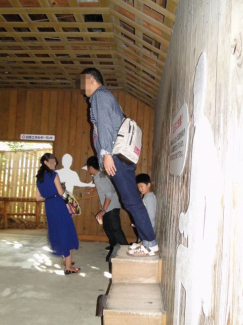 DSC00312