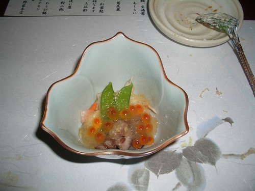 CIMG0045