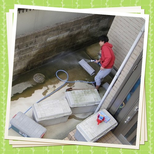 Hk7fr0th23mC8tG1483052837_1483052900