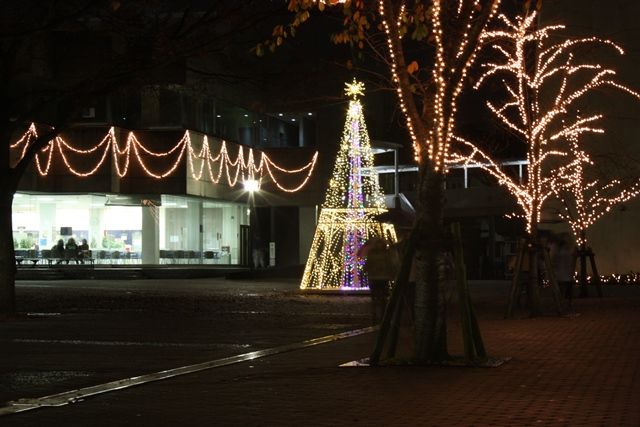 IMG_8248 イルミネーション2011