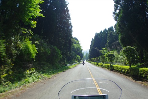 IMGP8746_R