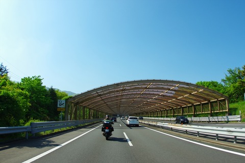 IMGP9217_R