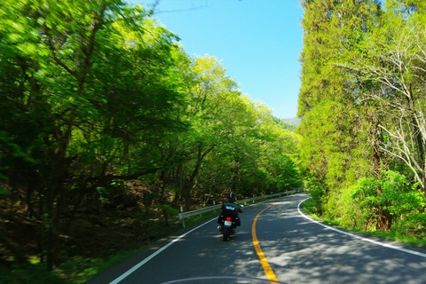 IMGP9213_R