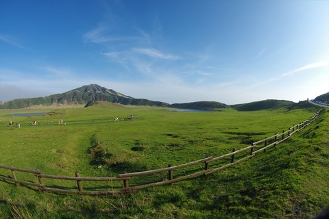 IMGP8838_R