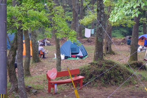 DSCF8520_R