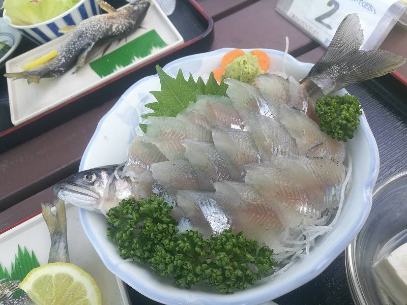 那須観光やな 陸前の豕日記