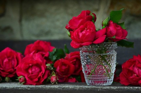 roses-821705_640