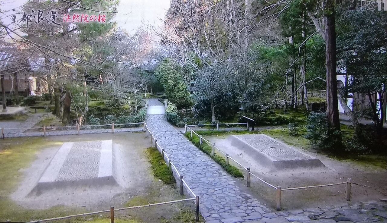 今日も元気に寺社めぐり