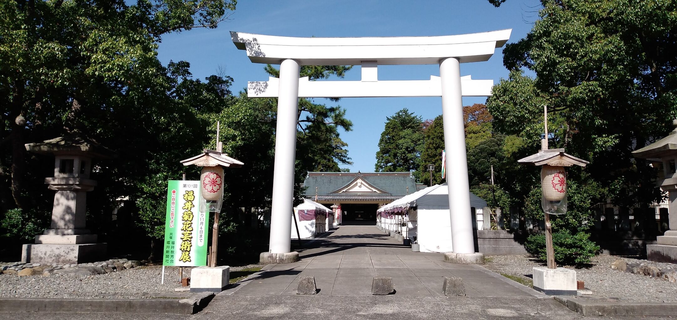 今日も元気に寺社めぐり