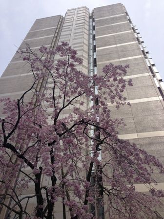 IMG_0694