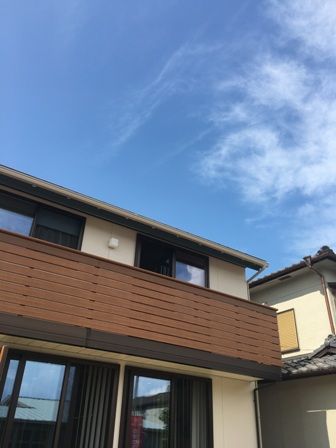 IMG_2626