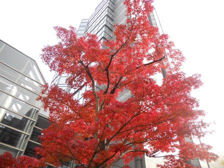 111201DSCN2890