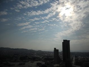 DSCN3931
