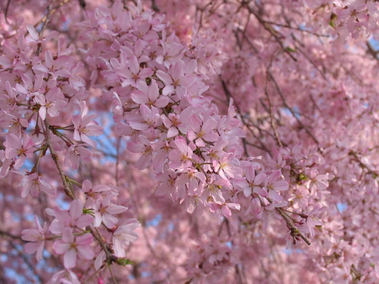 ４ 誰もいない冬の海を歩く 二人が好き あんなふうに君に会えた あの夏の日が好き 君との思い出 小田和正 小田和正の世界 My Home Town