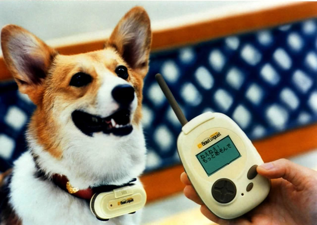 ２ 犬の気持ちがわかるというおもちゃ バウリンガル と バウリンガルボイス 鳴き声から分析して ６つの感情を表現 ココロのアルゴリズム２ イヌのココロ ロボット工学研究所