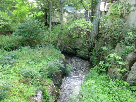 CIMG0897