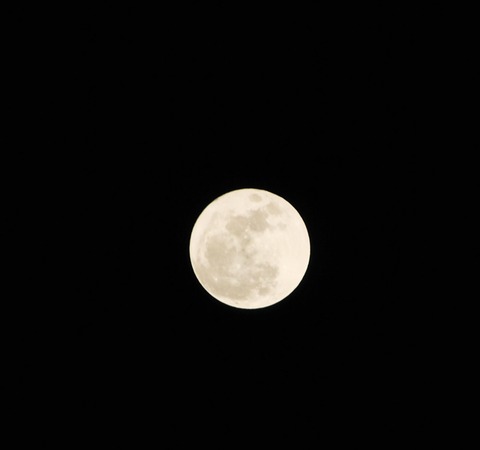 DSC_0076
