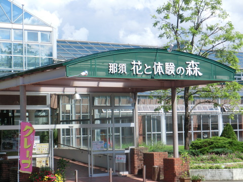 CIMG0982
