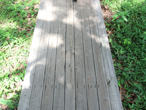 CIMG0922