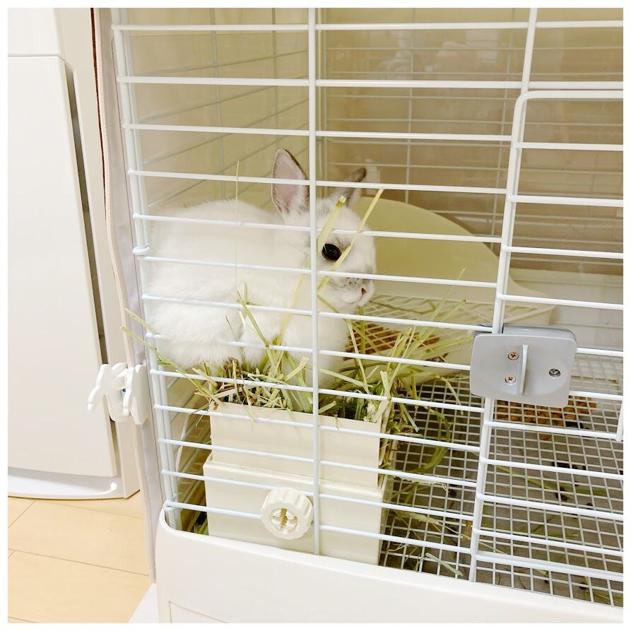 うさぎ びよ んとのびてる おもち です 花暮し Hanagurashi