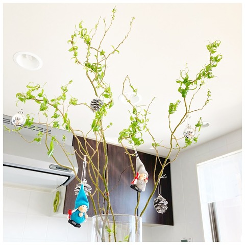 雲竜柳、育ちすぎた〜！ : 花暮し HANAGURASHI