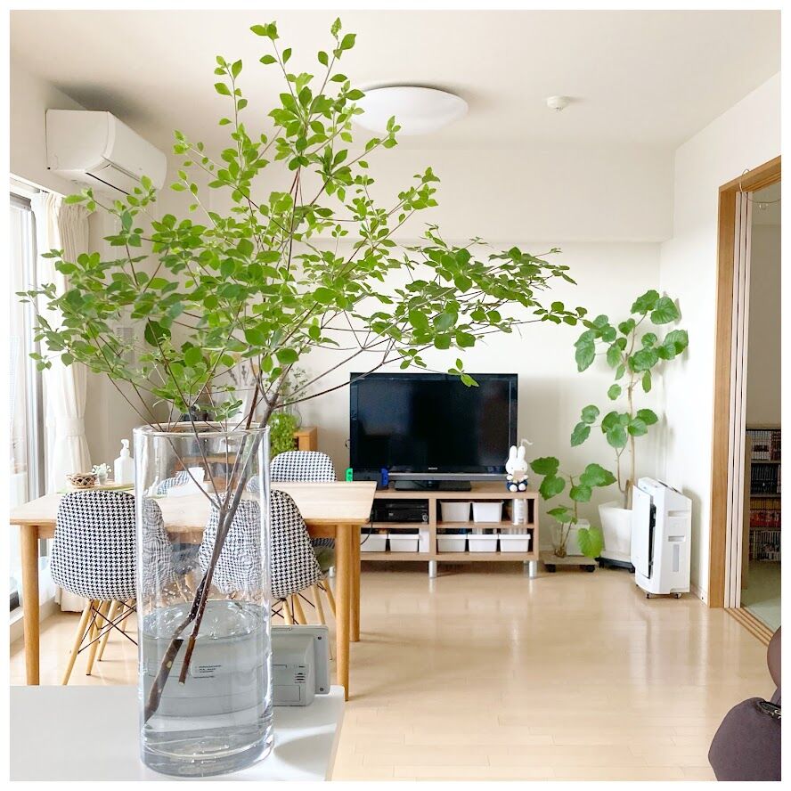 今年もカインズ これ一本で部屋が爽やかに 花暮し Hanagurashi