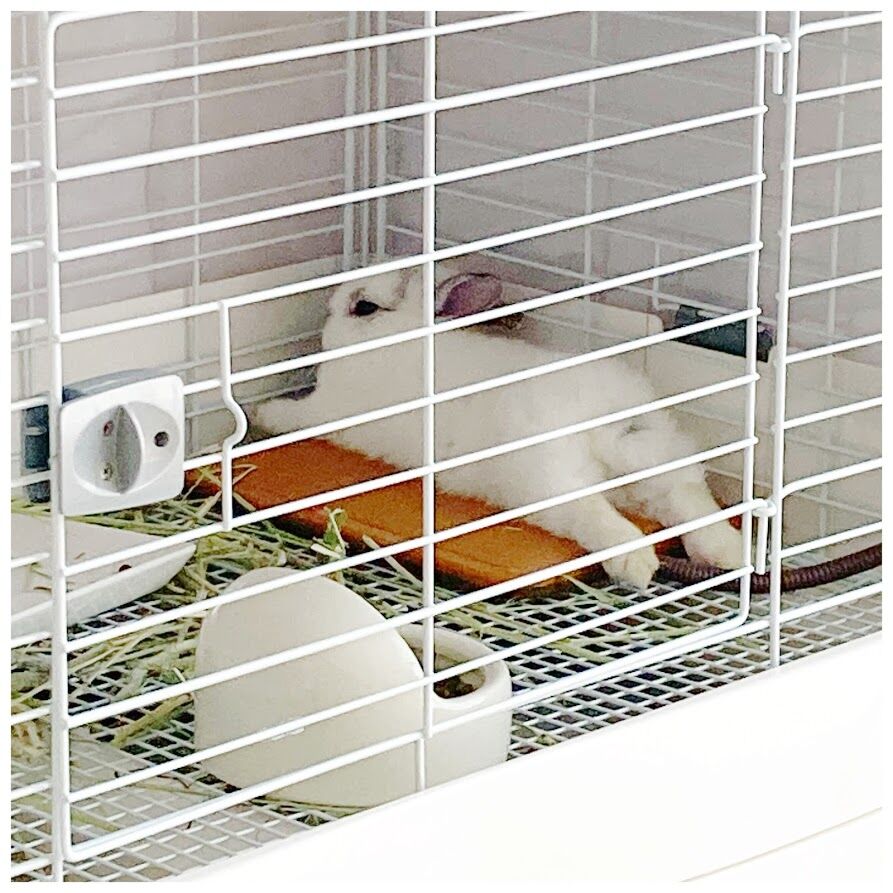 うさぎ 飼育グッズ だったもの だったもの 花暮し Hanagurashi うさぎ 飼育グッズ だったもの だったもの 花暮し Hanagurashi